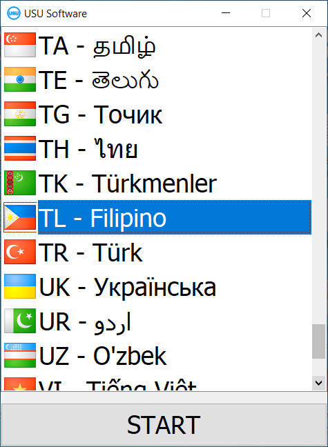 Kapag sinisimulan ang programa, maaari mong piliin ang wika.