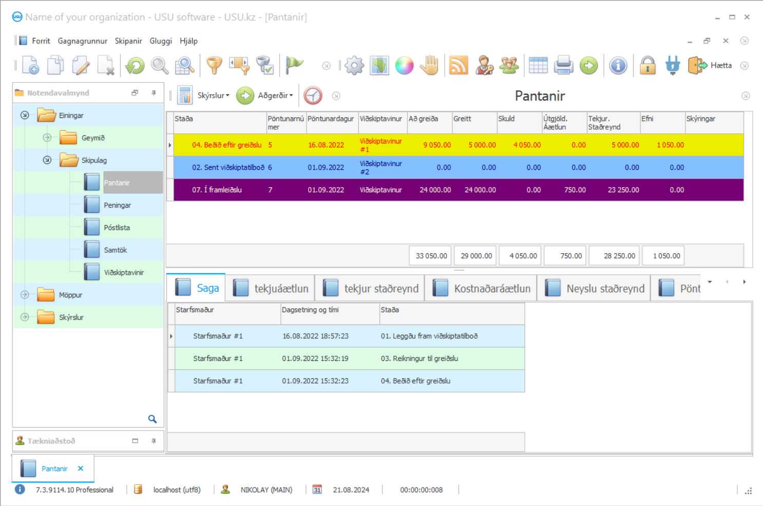 Bókhald auglýsingaþjónustu - Skjáskot af forritinu