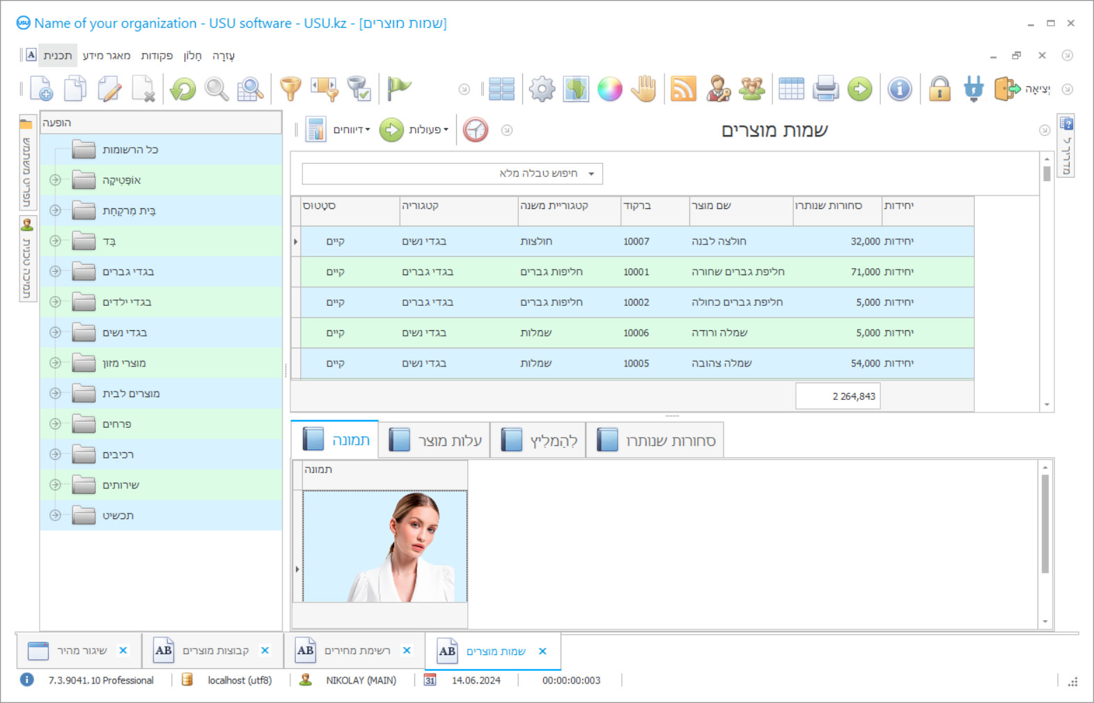 תוכנה למלאי - צילום מסך של התוכנית