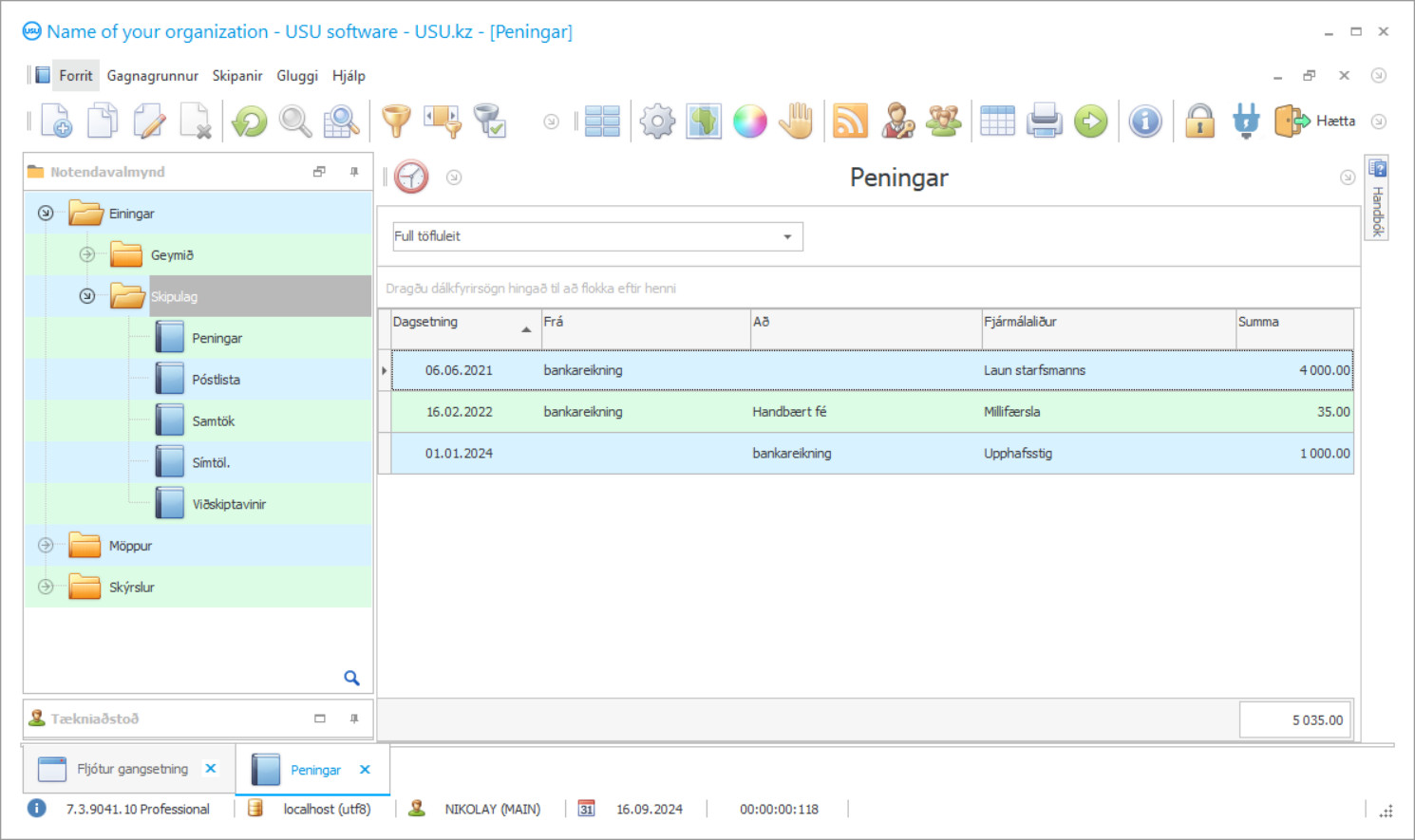 Bókhaldsáætlun fyrir einstakan frumkvöðul - Skjáskot af forritinu