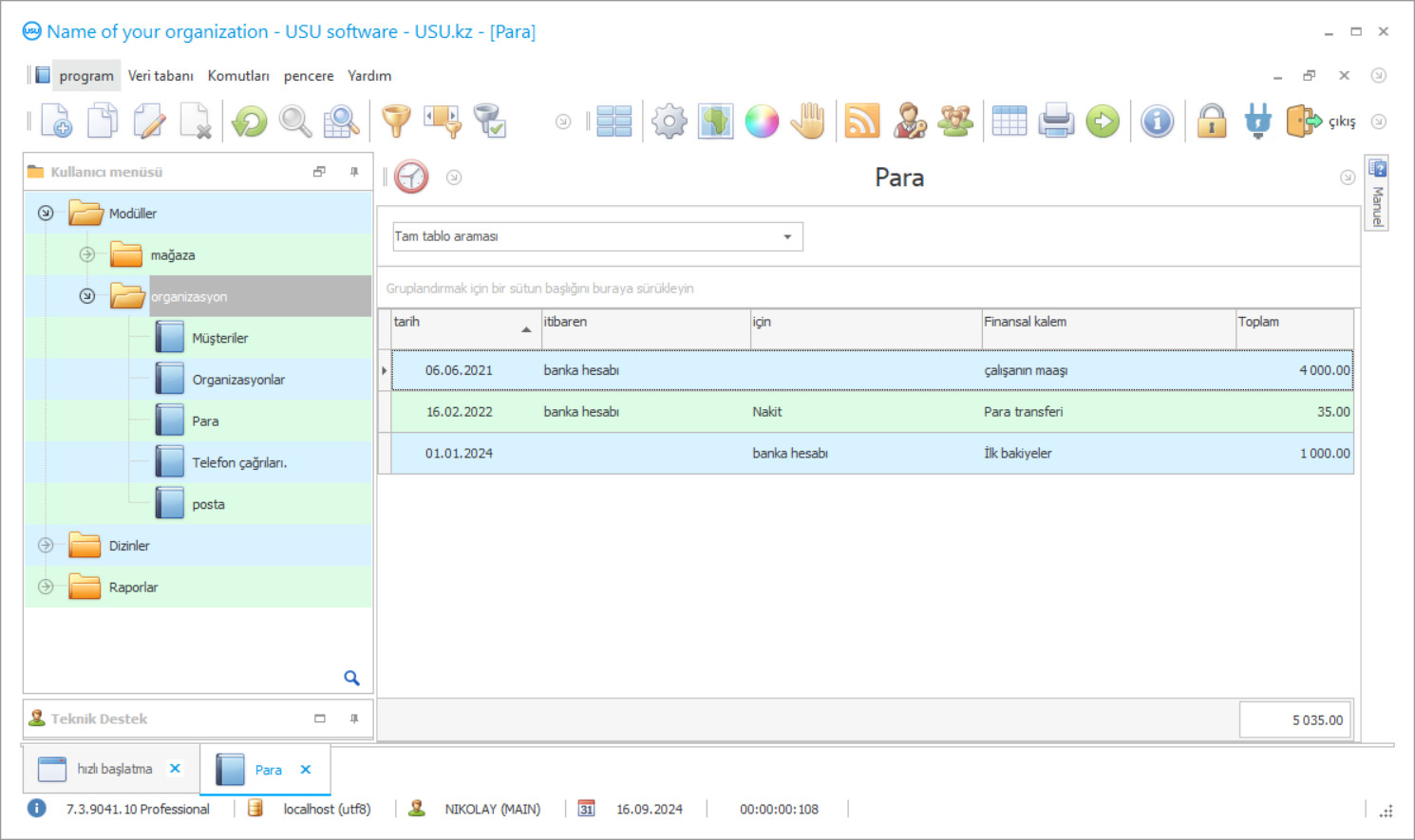 Bireysel girişimci için muhasebe programı - Programın ekran görüntüsü