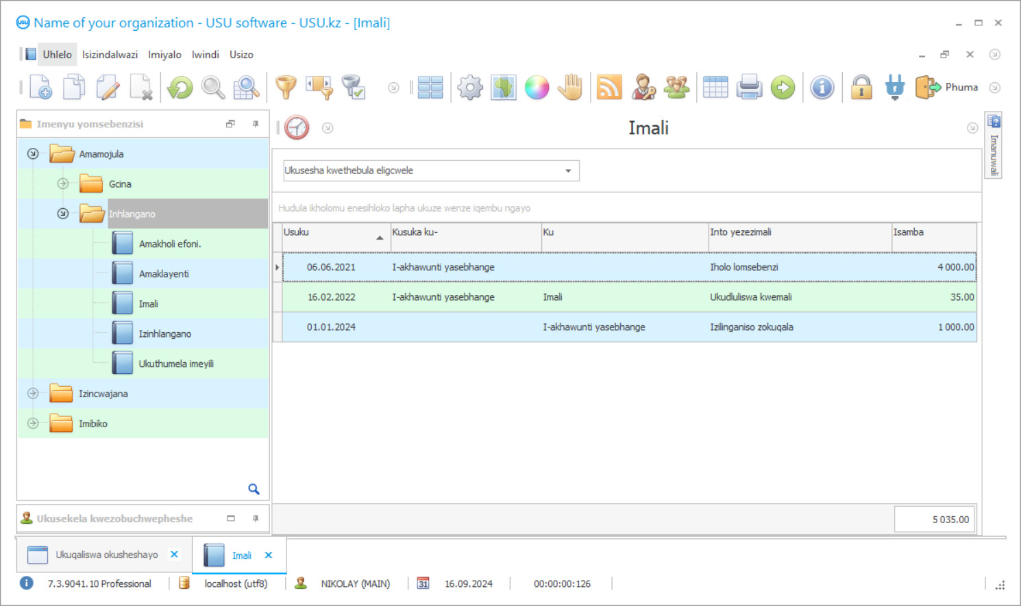 Uhlelo lokubalwa kwezimali kosomabhizinisi ngamunye - Isithombe-skrini sohlelo