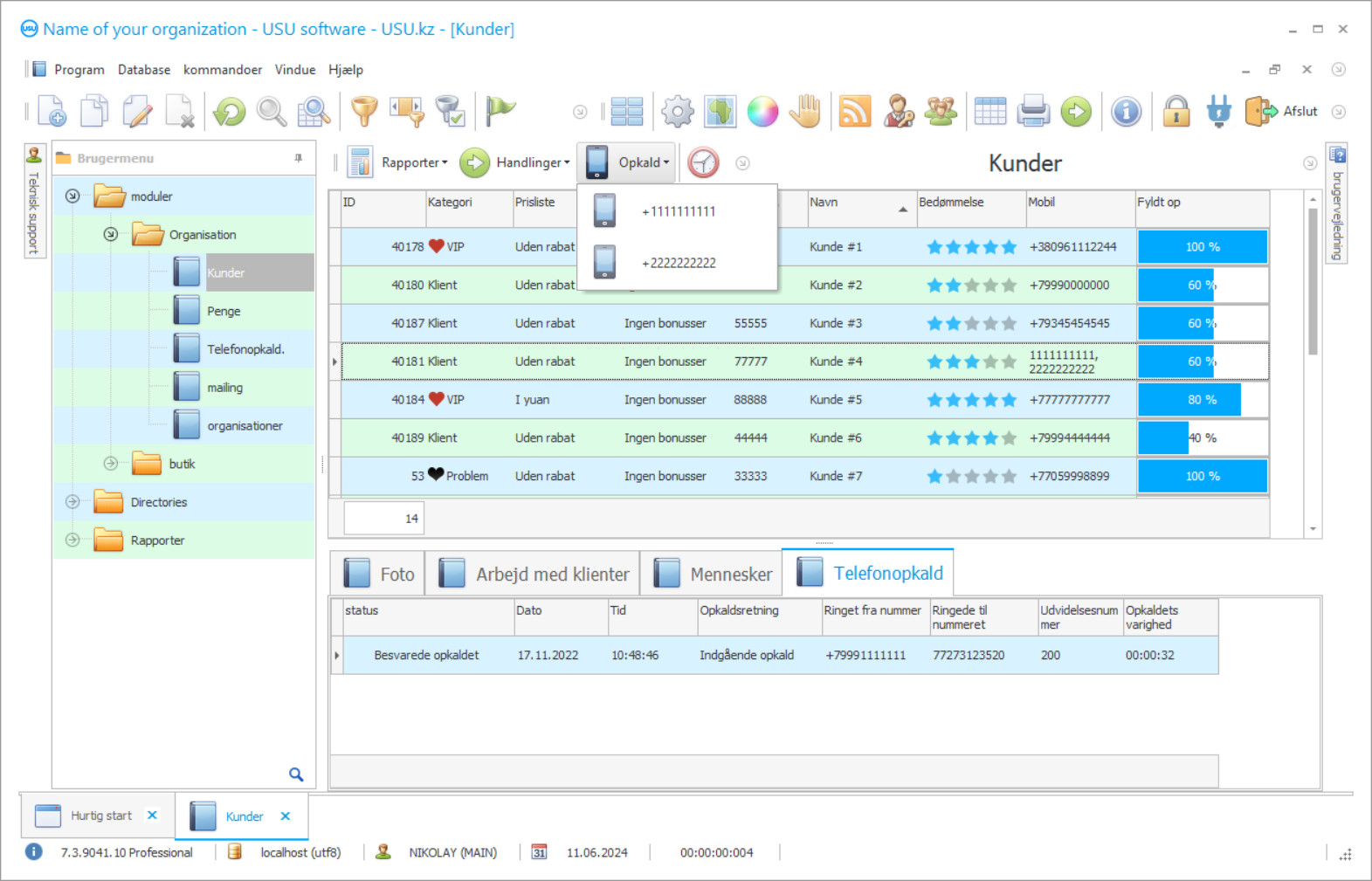 Bogføring af opkald til kunder - Program skærmbillede