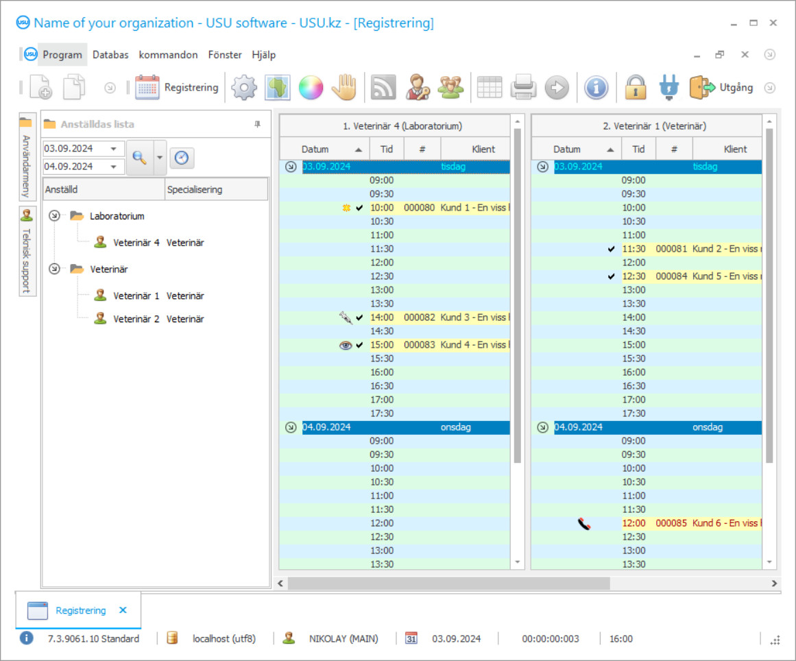 Program för veterinärklinik - Skärmdump av programmet